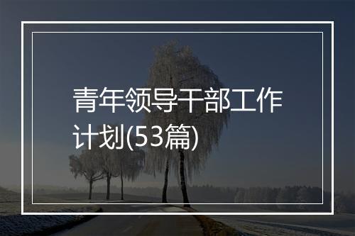 青年领导干部工作计划(53篇)