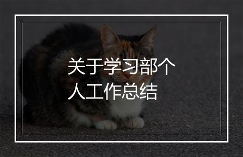 关于学习部个人工作总结