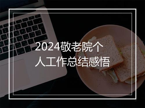 2024敬老院个人工作总结感悟