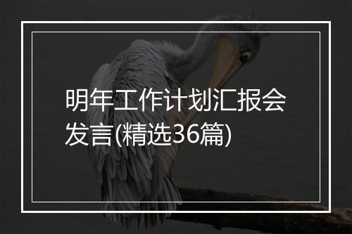 明年工作计划汇报会发言(精选36篇)