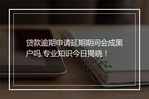 贷款逾期申请延期期间会成黑户吗,专业知识今日揭晓！