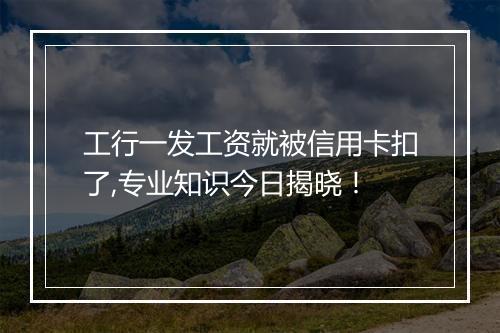 工行一发工资就被信用卡扣了,专业知识今日揭晓！