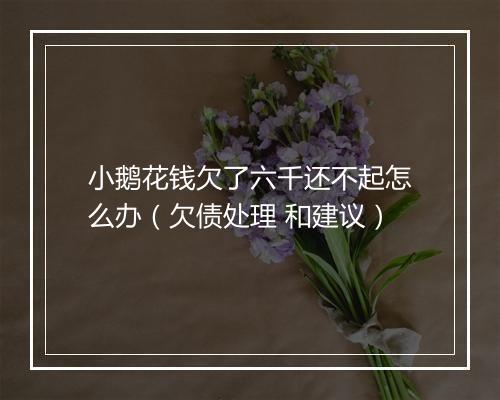 小鹅花钱欠了六千还不起怎么办（欠债处理 和建议）