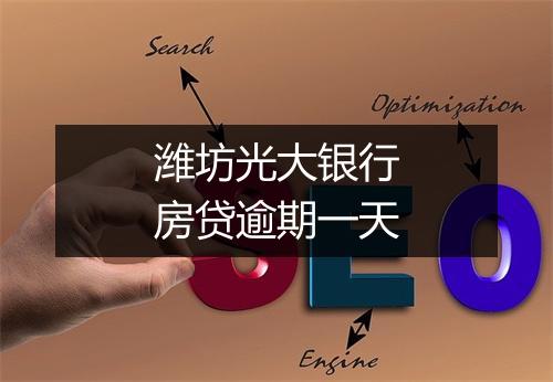 潍坊光大银行房贷逾期一天