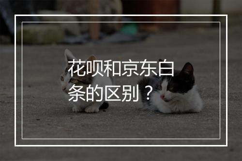 花呗和京东白条的区别？