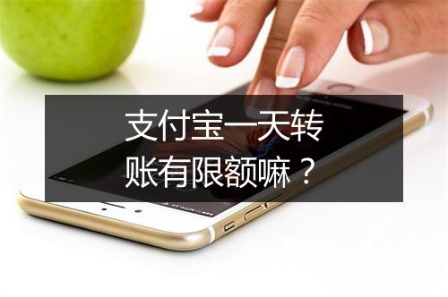 支付宝一天转账有限额嘛？
