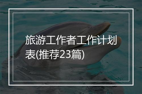 旅游工作者工作计划表(推荐23篇)