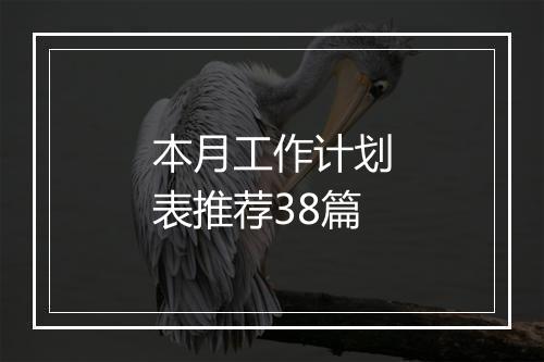 本月工作计划表推荐38篇