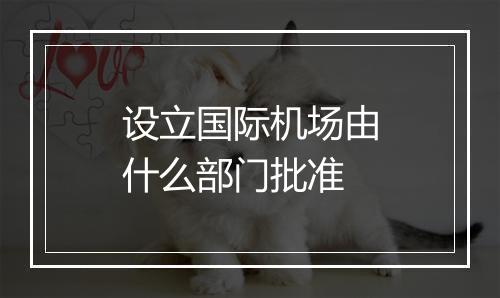 设立国际机场由什么部门批准