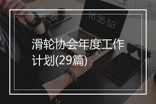 滑轮协会年度工作计划(29篇)