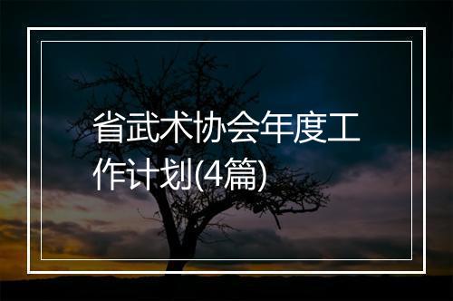 省武术协会年度工作计划(4篇)