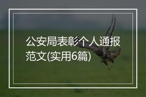 公安局表彰个人通报范文(实用6篇)