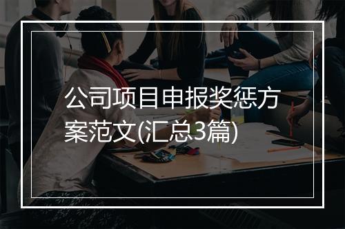 公司项目申报奖惩方案范文(汇总3篇)