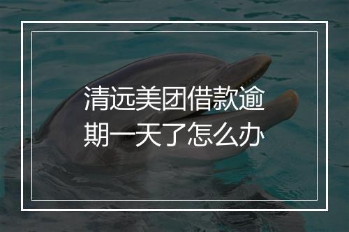 清远美团借款逾期一天了怎么办