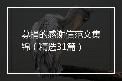 募捐的感谢信范文集锦（精选31篇）