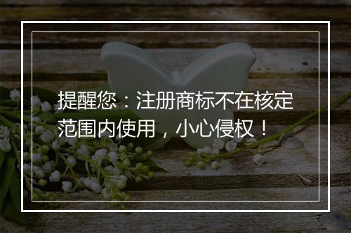提醒您：注册商标不在核定范围内使用，小心侵权！