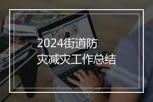 2024街道防灾减灾工作总结