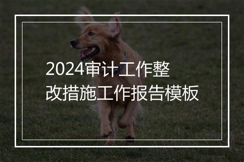 2024审计工作整改措施工作报告模板