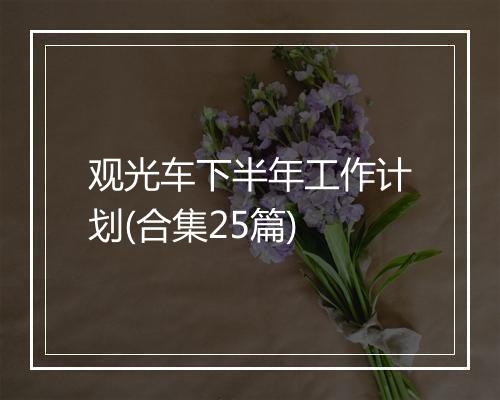 观光车下半年工作计划(合集25篇)