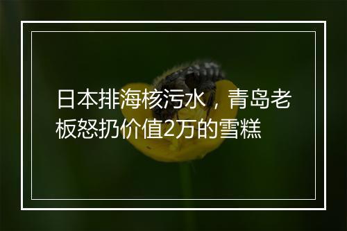 日本排海核污水，青岛老板怒扔价值2万的雪糕