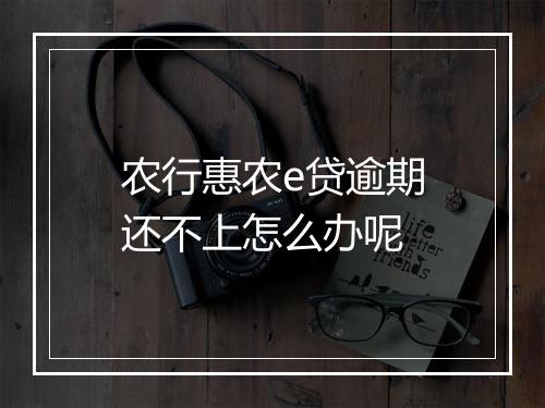 农行惠农e贷逾期还不上怎么办呢