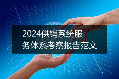 2024供销系统服务体系考察报告范文