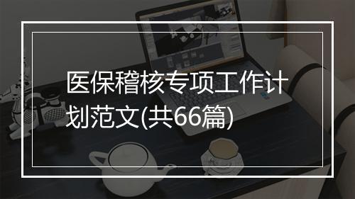 医保稽核专项工作计划范文(共66篇)