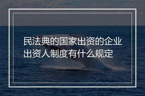 民法典的国家出资的企业出资人制度有什么规定
