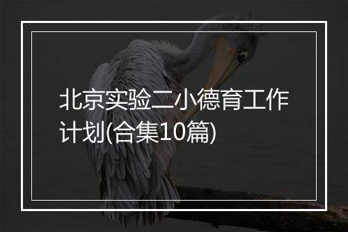 北京实验二小德育工作计划(合集10篇)