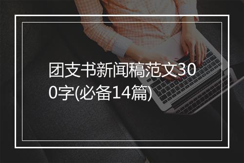 团支书新闻稿范文300字(必备14篇)