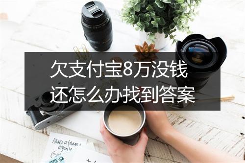 欠支付宝8万没钱还怎么办找到答案