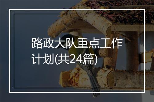 路政大队重点工作计划(共24篇)