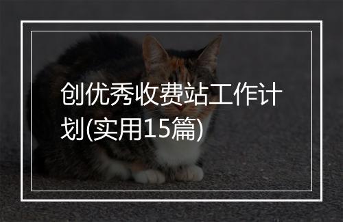 创优秀收费站工作计划(实用15篇)