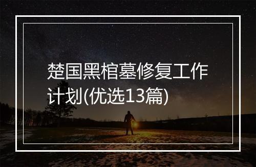 楚国黑棺墓修复工作计划(优选13篇)