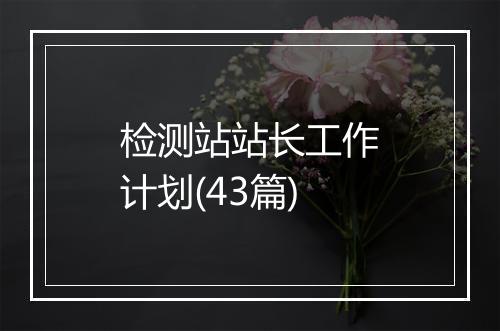 检测站站长工作计划(43篇)