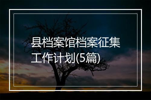 县档案馆档案征集工作计划(5篇)