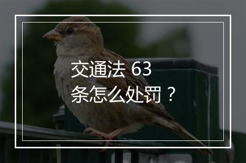 交通法 63 条怎么处罚？