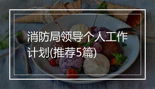 消防局领导个人工作计划(推荐5篇)