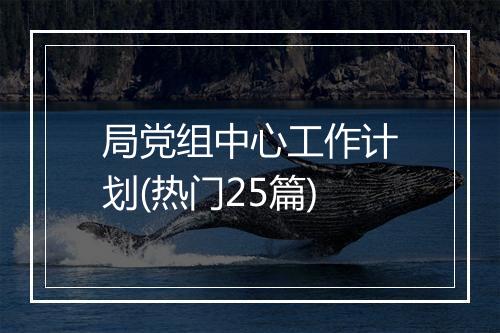 局党组中心工作计划(热门25篇)