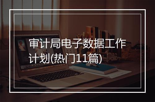 审计局电子数据工作计划(热门11篇)