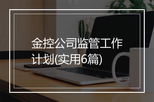 金控公司监管工作计划(实用6篇)