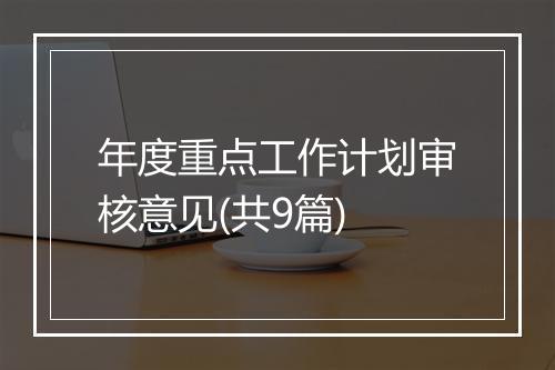 年度重点工作计划审核意见(共9篇)