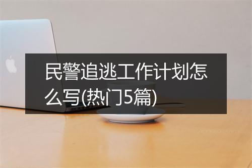 民警追逃工作计划怎么写(热门5篇)