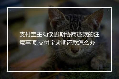 支付宝主动谈逾期协商还款的注意事项,支付宝逾期还款怎么办