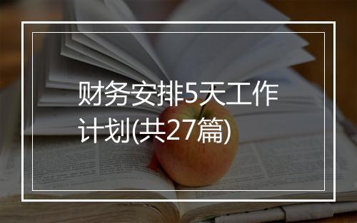 财务安排5天工作计划(共27篇)