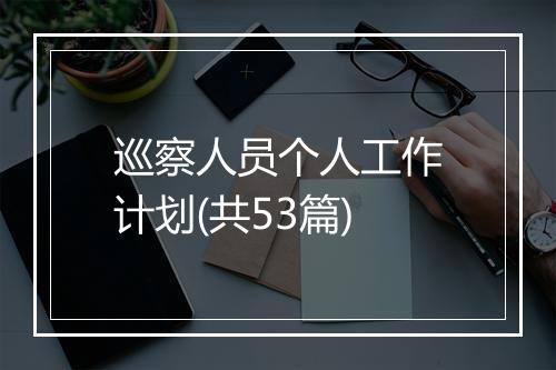 巡察人员个人工作计划(共53篇)