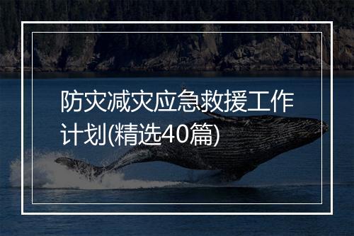 防灾减灾应急救援工作计划(精选40篇)