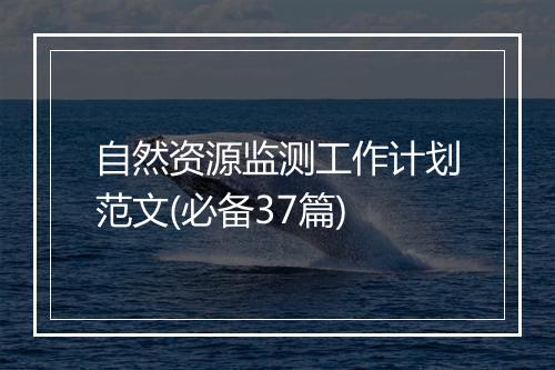 自然资源监测工作计划范文(必备37篇)