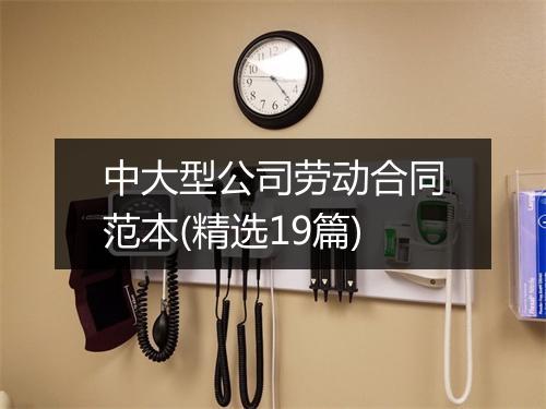 中大型公司劳动合同范本(精选19篇)