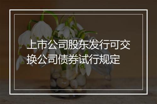 上市公司股东发行可交换公司债券试行规定